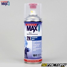 Vernice opaca 2K 16E di qualità professionale con indurente Spray Max 400ml