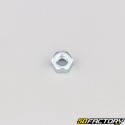 Ã˜6x1.00 mm nut (left hand thread)