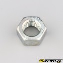 Ã˜18x2.50 mm nut (left hand thread)