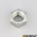 Ã˜18x2.50 mm nut (left hand thread)