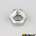 Ã˜18x2.50 mm nut (left hand thread)