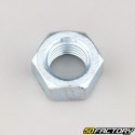 Ã˜20x2.50 mm porca (rosca esquerda)