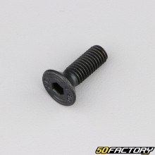 Brake disc screw and crown 8x25 mm (per unit)