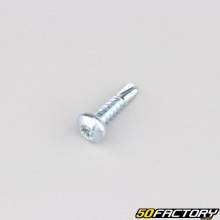 Vite autoperforante 4.8x19 mm torx testa bombata (per unità)