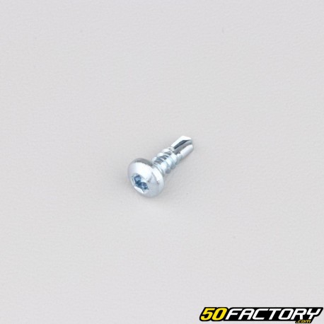 Vis autoperçeuse 4.2x13 mm tête torx bombée (à l'unité)