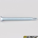 Self-drilling screw 4.8x60 mm countersunk Phillips head (per unit)