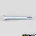 Tornillo autotaladrante cabeza Phillips avellanada de 5.5x50 mm (por unidad)