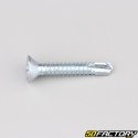 Tornillo autotaladrante cabeza Phillips avellanada de 6.3x38 mm (por unidad)