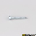 Self-drilling screw 3.9x32 mm countersunk Phillips head (per unit)