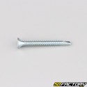 Tornillo autotaladrante cabeza Phillips avellanada de 4.2x38 mm (por unidad)