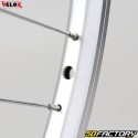 Ruota posteriore per bicicletta da 26 &quot;(19-559) per ruota libera 5/6/7V Vélox Mach1 ER-10 alu grigio