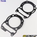 Engine seals Piaggio  MPXNUMX XNUMX, Aprilia Leonardo  XNUMX ... RMS