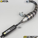 Exhaust MBK XNUMX, Motobecane Omega GXNUMX carbon silencer