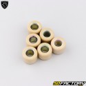 Variomatikgewichte 8.9g 16x13 mm Kisbee, Agility, Zip, Cracker 50 ...