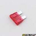 Red 10A flat fuses (box of 10)