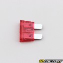 Red 10A flat fuses (box of 10)