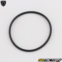 O-ring coperchio carter Peugeot Citystar,  Satelis... 125