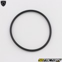 O-ring coperchio carter Peugeot Citystar,  Satelis... 125