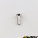 6x20 mm stainless steel countersunk BTR head screws (per unit)