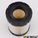 Luftfilter Briggs-Stratton (OHV XNUMX PS)