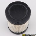 Filtro de ar Briggs-Stratton (OHV 13.5 HP)