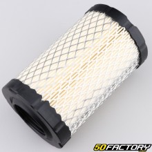 Briggs-Stratton Air Filter (OHV 17.5 HP)