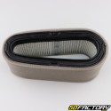 Briggs-Stratton Air Filter (12, 12.5 HP Vertical)