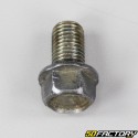 Drain plug Yamaha Chappy LB50 (1973 - 1996)