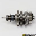 ALBERO CAMBIO SECONDARIO di Uscita Yamaha Chappy LB50 (1973 - 1996) V1