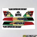 Kit decorativo Peugeot 103 SP rasta