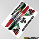 Deko-Kit Peugeot XNUMX SP Italien