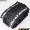 Bicycle tire XNUMXxXNUMX (XNUMX-XNUMX) Schwalbe Hans Dampf TLR with flexible bead