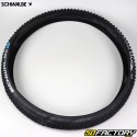 Bicycle tire 29x2.25 (57-622) Schwalbe Racing Ray TLR with flexible rods