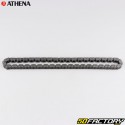 Catena di distribuzione Kawasaki KXF 450 (2006 - 2008), KLX R (2008 - 2020) Athena