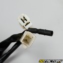 Motor completo Peugeot TKR  2,  Speedfight 2 y Vivacity 2T (intercambio estándar)