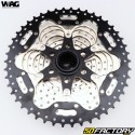 Wag Bike 10-Speed ​​Cassette (11-46)