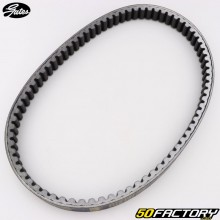 Courroie Benelli Adiva, Aprilia Atlantic, Derbi GP1 125... 22.2x810 mm Gates Powerlink