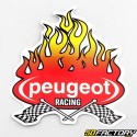 Flammenaufkleber Peugeot Racing