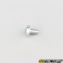 Tornillo de 5x10 mm BTR base cabeza abombada (por unidad)