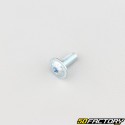 5x12 mm screw BTR domed head base (per unit)