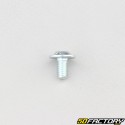 6x10 mm screw BTR domed head base (per unit)