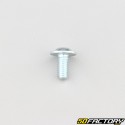 6x12 mm screw BTR domed head base (per unit)