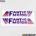 Gas tank stickers Fantic Engine Trial 125, 200, 240, 300