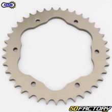 PC3/PC4 sprocket, aluminum teeth, 39 Ducati 525 Panigale, 1199 Monster... Afam