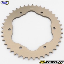 PC3/PC4 sprocket, aluminum teeth, 41 Ducati 525 Panigale, 1199 Monster... Afam