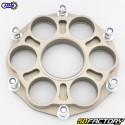 41 teeth 520 crown with crown holder Ducati Panigale Speciale V4 (2018 - 2019)... Afam (conversion kit)