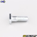 Tornillo de porta corona Ducati Afam PCD3, PCD4, PCD5 (juego de 6)