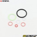 Engine seals Fantic Engine Trial 125, 200 Athena