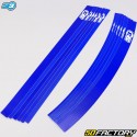 Blue S3 rim stripe stickers