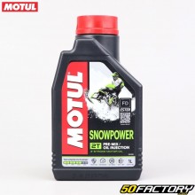 2 Motul Snowpower Technosynthese 1XL Motoröl